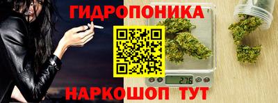 прущие грибы Мариинск