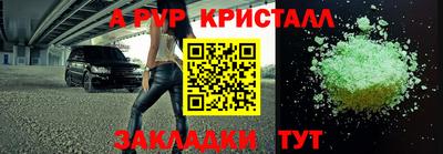 прущие грибы Мариинск