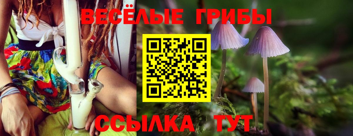Ялта  Галлюциногенные грибы Psilocybe  Вход с VPN 